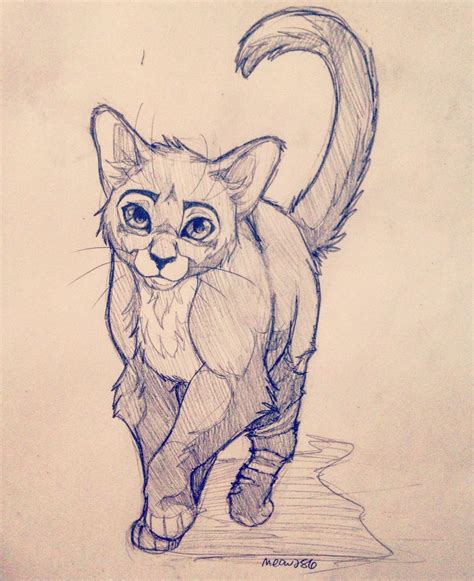 cat drawing warrior cats|warrior cat drawings with pencil.